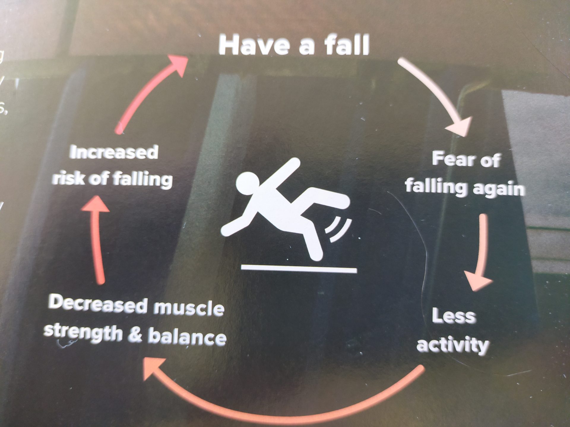 Fear of Falling Cycle